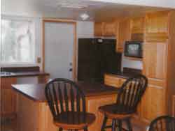 Kitchen fully restored after mold remediation