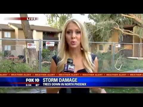 Park Ridge Apartment Community Thunderstorm Damage (Fox 10)