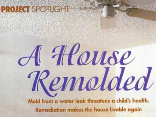 A House Remolded